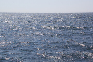 Waves on the bue ocean