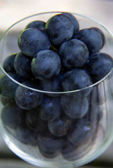 Close view of a wine glass filled with blue grapes