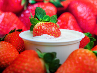 Delicious red organic strawberries in a cup with natural yogurt.