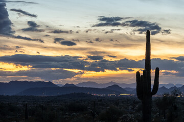 Sunset in the Sonoran Desert of Arizona with mountains and saguaro cacti and other desert...