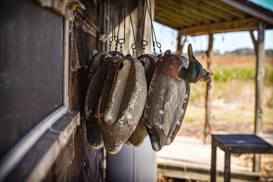 Duck Decoys at the Hunting Camp