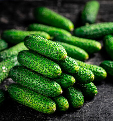 Ripe little cucumbers on the table. 