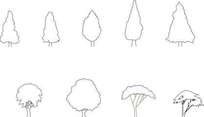 set of hand drawn flowers and leaves