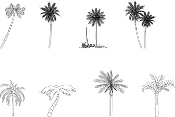 sketch vector illustration of palm and coconut plants front view in black and white