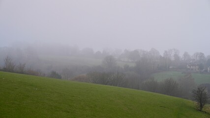 misty morning in the grassland