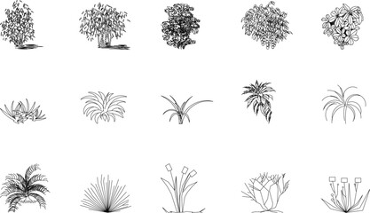 sketch vector illustration of silhouettes of garden flower plants front view