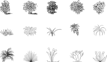 sketch vector illustration of silhouettes of garden flower plants front view