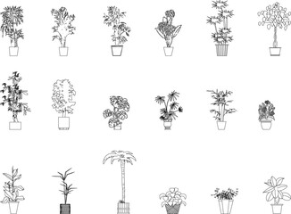 vector sketch illustration of a flower plant silhouette in a pot front view