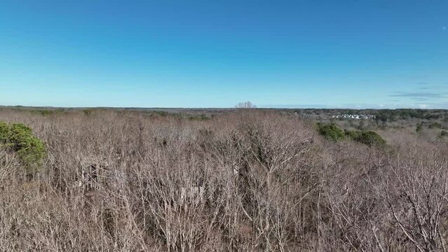 Low aerial shot moving laterally dangerously close above trees.