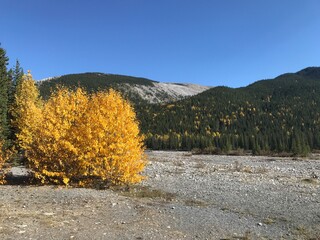 autumn in the mountains