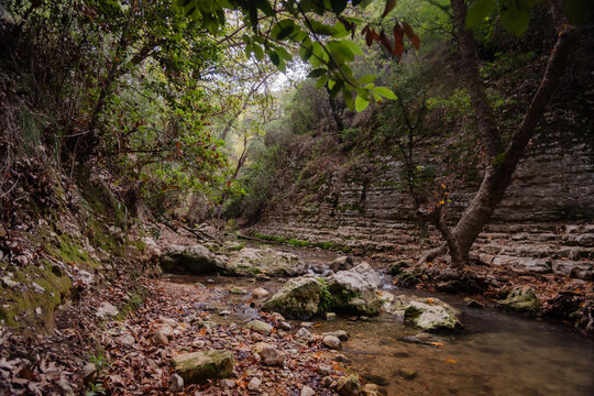 View of Kziv Stream at the end of the Black marked trail, Montfort Nahal Kziv National park, Western Galilee, Northern District of Israel, Israel. High quality photo