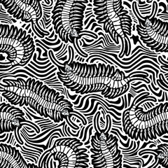 Fototapeta na wymiar Black scolopendra. Seamless pattern
