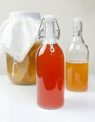 Home-made organic Kombucha. healthy natural probiotic drink.