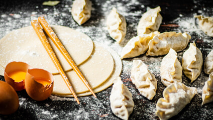 Making homemade a gyoza dumplings. 