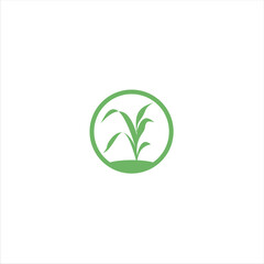 Agriculture logo design, agronomy, wheat farm, rural country farming field, natural harvest vector.