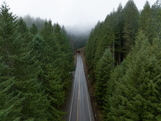 Oregon Coast Road Aerial