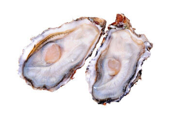 Fresh opened oyster on white background