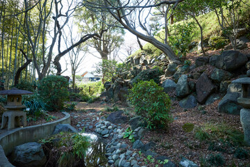 自然の多い公園の渓流