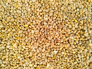 Brown color raw whole dry Chironji nuts background