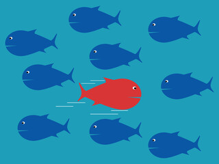 The red fish swims in the opposite direction from the other fish. Courage and confidence. business difference vector