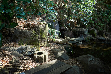 自然の多い公園の渓流