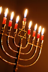 Menorah Lit for the Eighth Night of Hanukkah 
