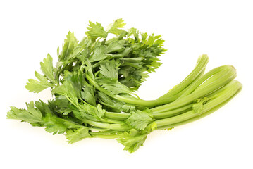 Celery on white background