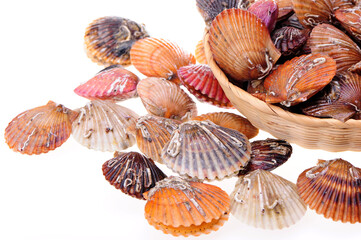 Raw scallop on white background 