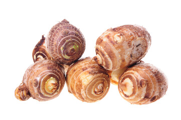 Taro on white background