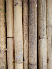 bamboo wood that has been cut and will be traded