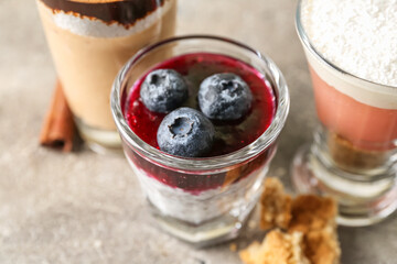 Shot of delicious chia seed pudding and blueberry on grey table, closeup