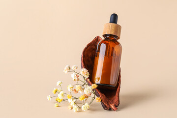 Cocoa pod with bottle of serum and gypsophila flowers on color background