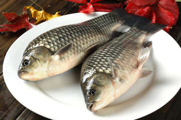 Raw fish carp on white background 