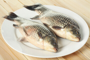 Raw fish carp on white background 