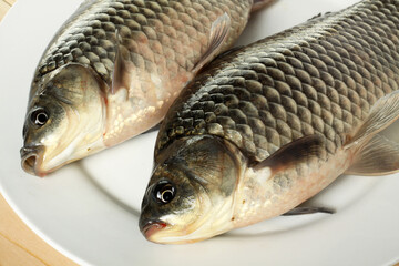 Raw fish carp on white background 