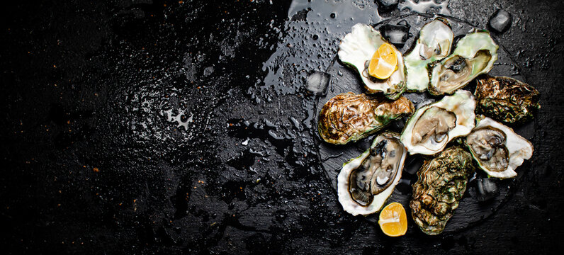 Raw oysters on a stone board. 