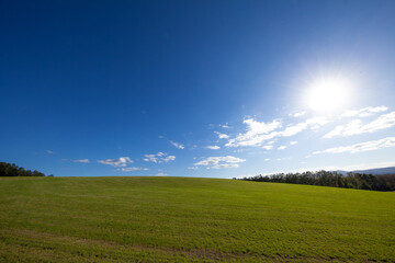 Meadow on the hills shining in the sun
