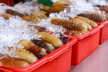 Trepang also known as Brown Sea Cucumber or beche-de-mer from Belitung Island for Chinese New Year...
