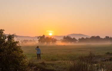 Young traveler woman watching the sunrise in rice fields with fog in the background in Cambodian...