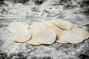Fototapeta na wymiar Raw round pieces of dough for dumplings on a table with flour.