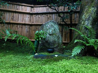 [Japan] Mossy garden at Gioji Temple (Sagano, Kyoto city)