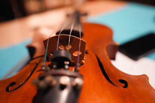 violin. string detail on a violin. interior photo.