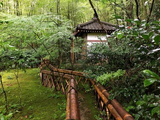 [Japan] Mossy garden at Takiguchi-dera Temple (Sagano, Kyoto city)