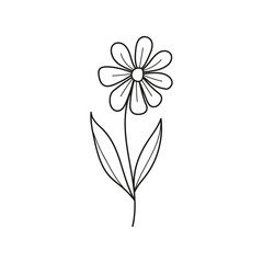 Hand drawn illustration of flowers