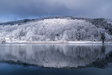 映る樹氷