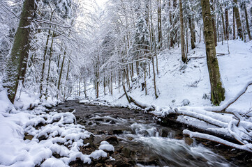 Forest mountain stream in winter. "Hylaty" brook in the Bieszczady Mountains in Carpathians.