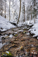 Forest mountain stream in winter. 