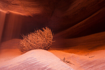 Antelope Canyon