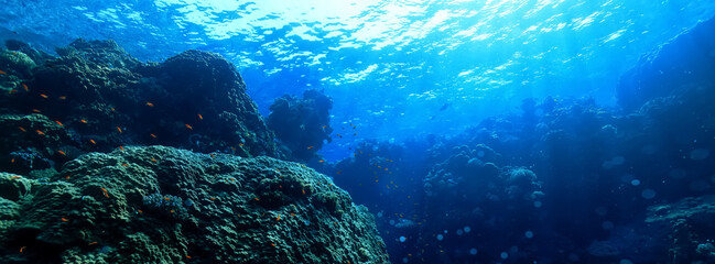 panorama coral reef underwater landscape seascape