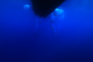group of divers depth bubbles dive